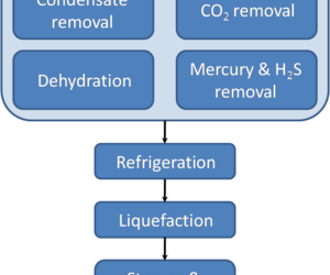 Liquefied Natural Gas Measurement Challenges