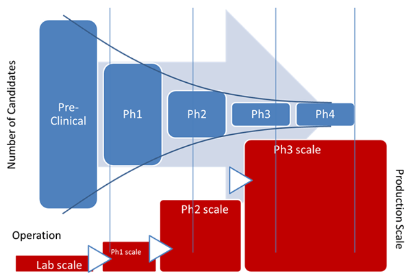 Drug development phases and increasing production scale