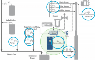 Flare Control Strategies for Regulatory Compliance