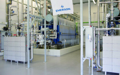 Green Hydrogen Production: Sustainable Success Across the Value Chain