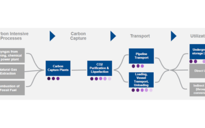 Optimizing Carbon Capture and Storage Processes