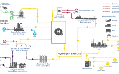 Hydrogen Production with Steam Methane Reforming and CCUS